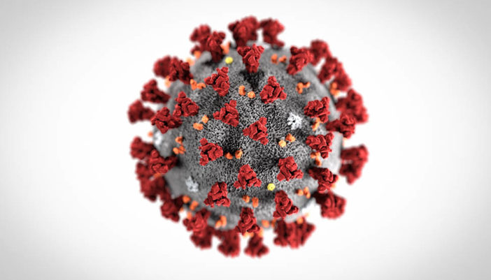 coronavirus